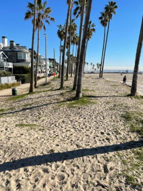 House on The Beach